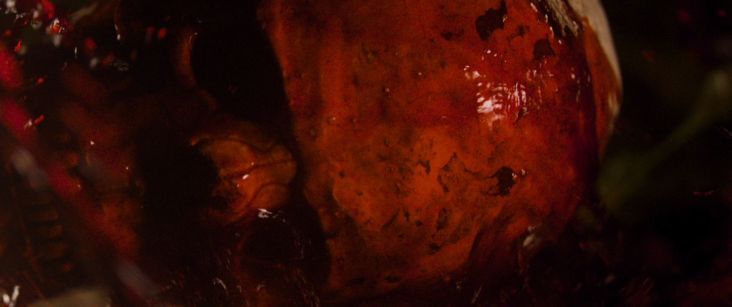 Data Creep | Danaë K Grieef